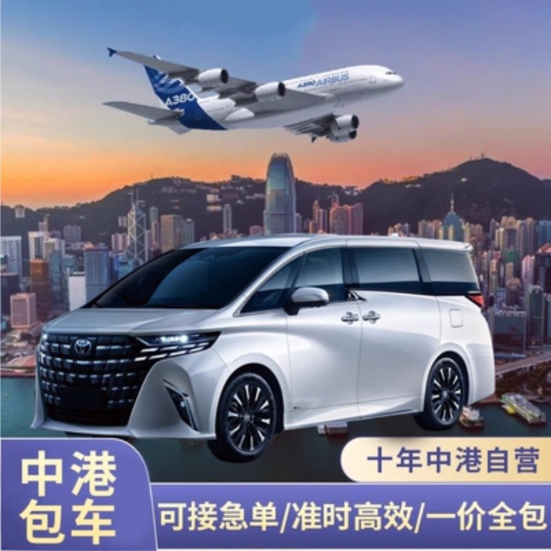 hong kong disneyland & ocean park limo | your family's private transfer